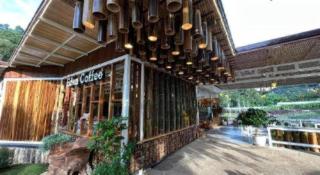 Eden garden resort at Monjam - 9