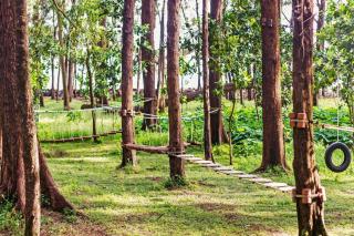 Devbagh beach resort - Junglelodges - 1