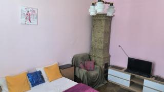 Апартаменти у центрі Львова вул Руська 16 , Личаківська Госпіталь - Lviv - 5