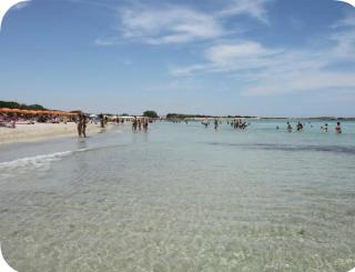 Appartamento Della Pineta - 3