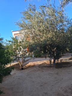Ksour tataouine - 9