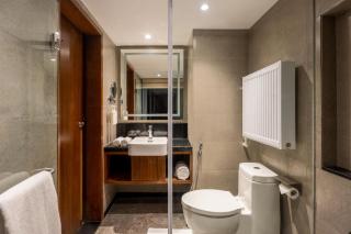 Radisson Hotel Sonamarg - 4