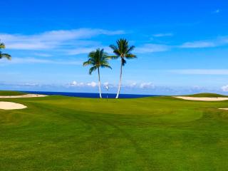Tropical Villa wBeach Club Access Quiet LocationBikes and Beach GearWalk to Restaurants - 4