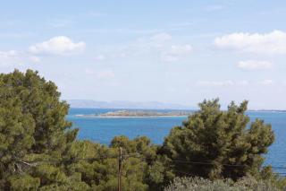 Alkyoni Forest Rooms - 1