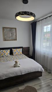 DOL House - Apartment - 0