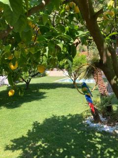 VILLA ROMA Resort - 7