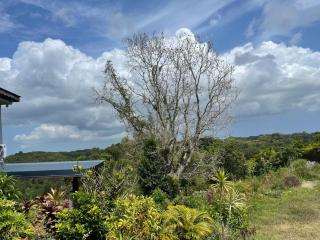 colibris Location SAINTE-ANNE - 8