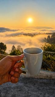 Tehri Lakeview Sunrise Cottages - 7