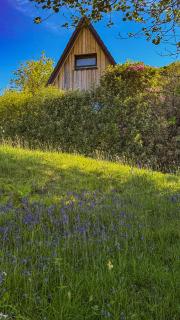 1 Bedroom Cabin with Mountain & Loch Views - Quiet Location between Glencoe & Ben Nevis - Corran - 9