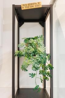 Designer Boutique Apartment - 5