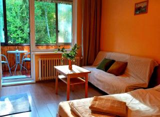 Forest Apartment with 2 Balconies Horný Smokovec - 9