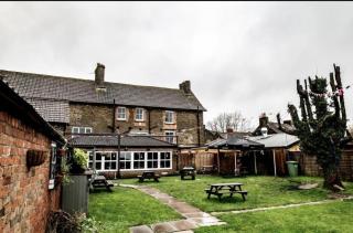 The Fox and Maple - 3