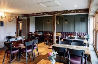 The Fox and Maple - 4