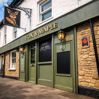 The Fox and Maple - 2