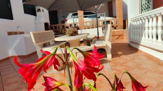 Casa ALMA - 6