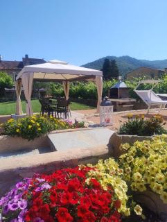 Agriturismo il Borgo - Lavanda - 3