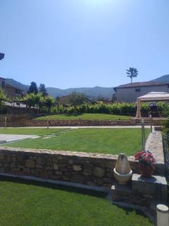 Agriturismo il Borgo - Ulivo - 7