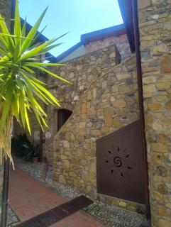 Agriturismo il Borgo - Ulivo - 6