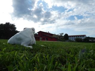 Dolcevita guest house - 5