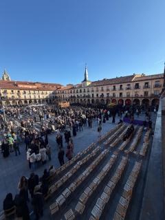 Arquitecto de la Vida I - Plaza Mayor - 8