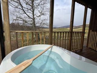 Azalea Lodge 2 with Wood Burning Hot Tub - 8