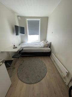 Moderne ettroms studioleilighet! - 9