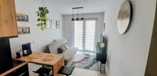 Apartament Amelia - 8