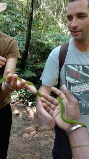 Rain forest freedom - 4