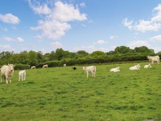Carnau Mawr - Uk45087 - 5