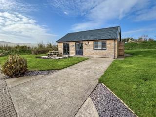 Primrose Lodge - Uk51602 - 8