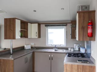 Birch 1 - Ukc8214 - 4