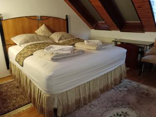 Manor House on the Danube Bend - 8