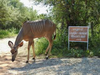 Kruger's Retreat & Rest - 9