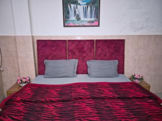 Vishal Paradise - 4