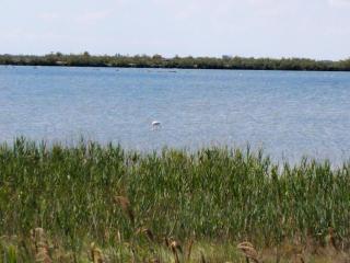 Venice Delta Lagoon Apartments - 1