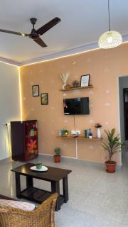 Trayi stay - 8