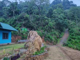 Backpackers Hippie Guest House - 7