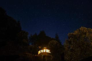 Birds & Oaks - Luxury Boutique Hotel, Ramgarh - 1