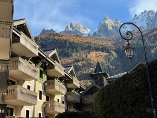 Cocon Alpin Chamonix Centre et Vue - 7