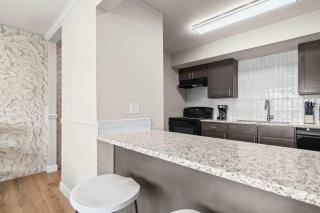 Newly Renovated Unit in Central Spfld #204 - 3