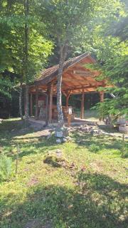 Lake Crown - 3