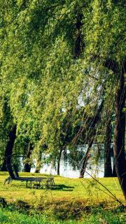 Gacka idila - 8