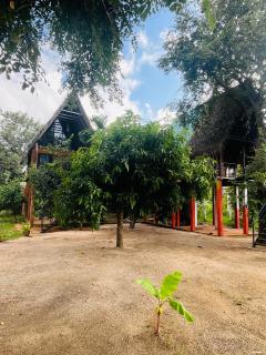 Habarana Tree House - Ivory cottage - 7