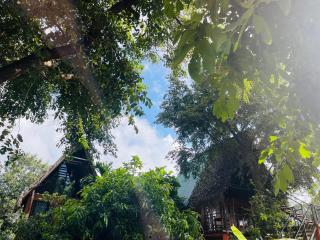 Habarana Tree House - Ivory cottage - 6
