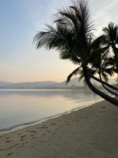 Arunta Samui - 2