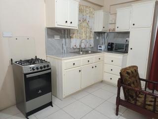 The Cozy Quest 1-Bedroom Apartment near Med Schools & Argyle Airport - 4