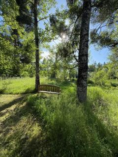 Le refuge de Chambord Nature, calme, forêt et prestige des châteaux de la Loire - 9
