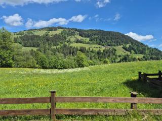 Schochenhof - 2