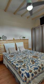 Appartement Salamandre - 7