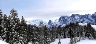 Dachstein Adventure Holiday Apartment - 3
